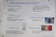 IMG_20250327_180405