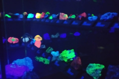 IMG-20220621-WA0008