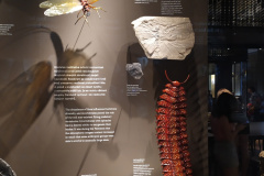 IMG_20220621_113844