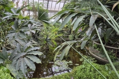 Botanicka-zahrada-2