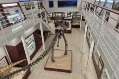 Chlupacovo-muzeum