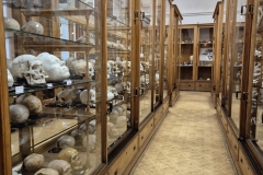 Hrdlickovo-muzeum