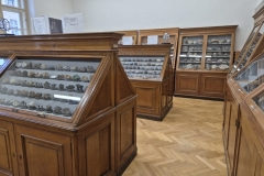 Mineralogicke-muzeum-PrF