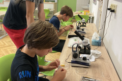 IMG-4102