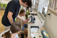 IMG-4107
