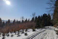 PXL_20230302_141613051