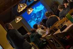 IMG-20250211-WA0007
