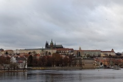IMG_20241216_142415