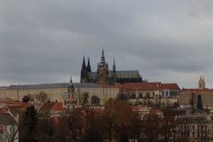 IMG_20241216_142437